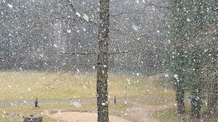 Kurz und kräftig war der Schneefall am Montag. Es dürfte der vorerst letzte Wintergruß gewesen sein.