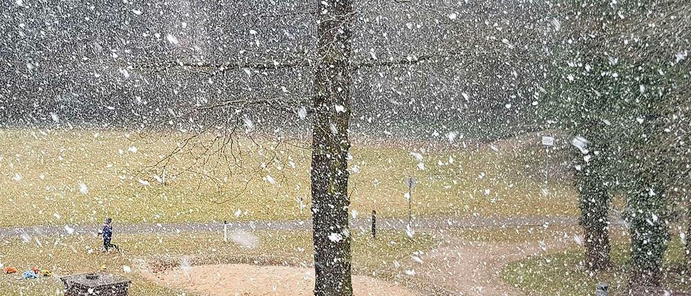 Kurz und kräftig war der Schneefall am Montag. Es dürfte der vorerst letzte Wintergruß gewesen sein.