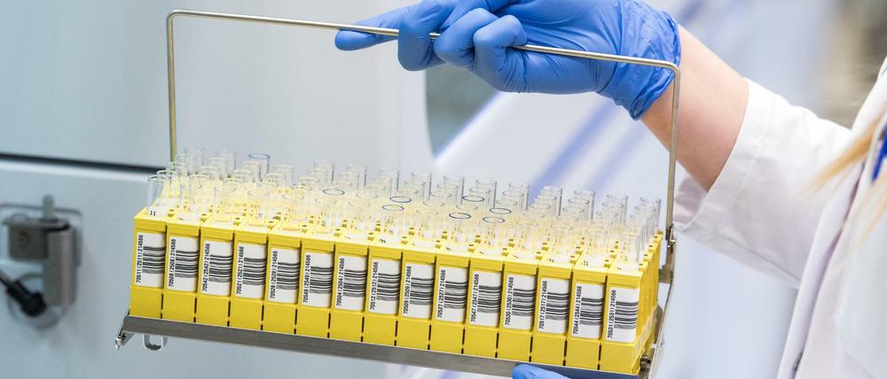 Schon 2007 hatten die Behörden das Szenario mit einem asiatischen Virus durchgespielt.