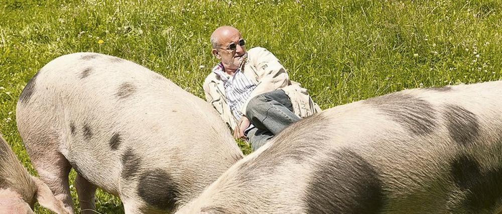 Kochlegende Franz Keller züchtet heute Bentheimer Schweine für sein eigenes Restaurant