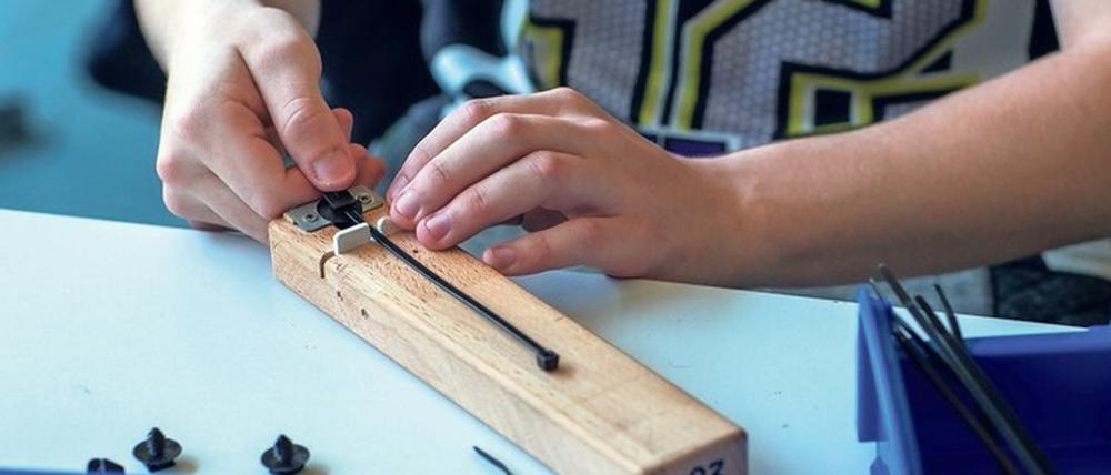 850 Menschen mit Behinderungen sind in den Stephanus-Werkstätten in Bereichen wie Lebensmittelverpackung und Gartenbau tätig.