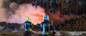 Die Feuerwehr löschte am 5. April etwa 10.000 Kubikmeter brennende Holzstämme nahe der L100 zwischen Schönwalde und Basdorf (Gemeinde Wandlitz) im Landkreis Barnim.