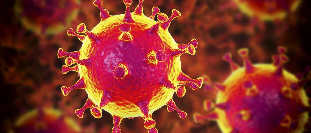 Dornencorona: Die „S“-Proteine – die Stacheln, die aus der Fetthülle des Virus herausragen – dienen dem Erreger als Anker, um an spezielle Moleküle auf der Oberfläche der menschlichen Zellen anzudocken. Das zu verhindern versucht ein neues Medikament.