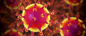 Dornencorona: Die „S“-Proteine – die Stacheln, die aus der Fetthülle des Virus herausragen – dienen dem Erreger als Anker, um an spezielle Moleküle auf der Oberfläche der menschlichen Zellen anzudocken. Das zu verhindern versucht ein neues Medikament.