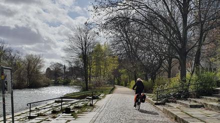 Viel Kopfsteinpflaster entlang des Einsteinufers.