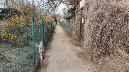 In der Kleingartenkolonie ist der Weg nur gut ein Meter breit. Hier ist Widerstand programmiert.