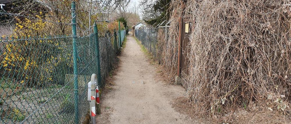 In der Kleingartenkolonie ist der Weg nur gut ein Meter breit. Hier ist Widerstand programmiert.