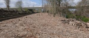 Die frei geschnittene Trasse der Siemensbahn. Links die Gleise nach Spandau, hinten die Rudolf-Wissell-Brücke.