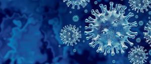 Was kleiner ist als 01,15 Millimeter, können wir nicht mehr sehen: Das Coronavirus unter dem Mikroskop.