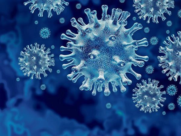 Was kleiner ist als 01,15 Millimeter, können wir nicht mehr sehen: Das Coronavirus unter dem Mikroskop.