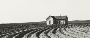 Dorothea Lange. Tractored Out, Childress County. 1938.
