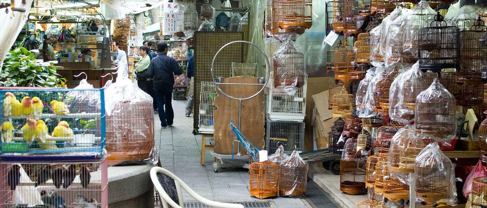 Märkte, auf denen lebende Wildtiere zum Verkauf angeboten werden und wo die Käfige oftmals eng beieinanderstehen, gelten als Orte, die die Verbreitung von Viren begünstigen, die das Potenzial haben, auf den Menschen überzuspringen.