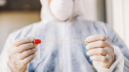 Abstrich. Im Corona-Testzentrum in Adlershof untersucht das ifp Proben auf das Virus.