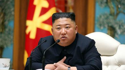 Ist sein Gesundheitszustand kritisch? Nordkoreas Staatschef Kim Jong Un