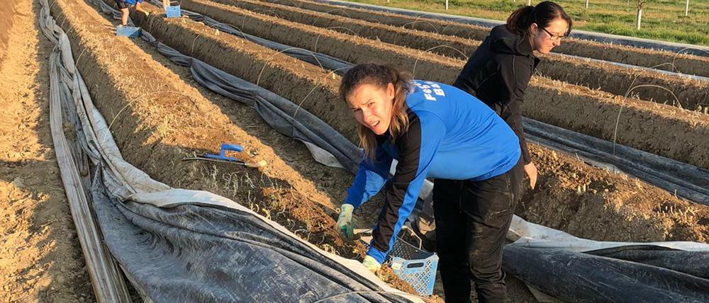 Besonders fleißig. Dina Blagojevic, die normalerweise das Offensivspiel der Sanderinnen ankurbeln soll.
