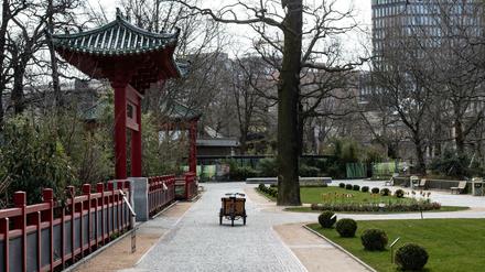 Menschenleer ist der Weg vor dem Panda-Gehege im Zoo.