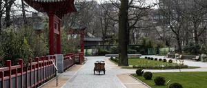Menschenleer ist der Weg vor dem Panda-Gehege im Zoo.