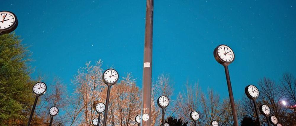  Das Bild zeigt das Kunstwerk „Zeitfeld“ von Klaus Rinke im Düsseldorfer Volksgarten.
