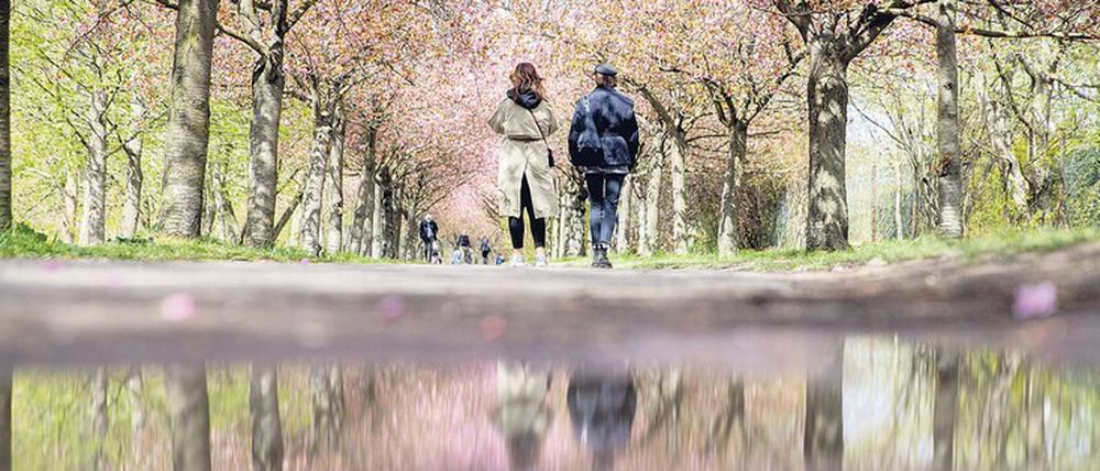 Zu Fuß durch den Frühling. In Zeiten von Ausgangs- und Kontaktbeschränkungen bleibt vielen als Freizeitaktivität nur der Spaziergang allein – oder zu zweit. Es muss aber nicht immer der Marsch unter blühenden Bäumen sein. Auch ein Weg im Gewerbegebiet kann interessant sein.