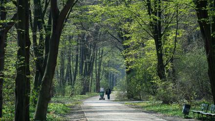Zwei Menschen mit Kinderwagen gehen im fast leeren Tiergarten spazieren.