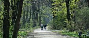 Zwei Menschen mit Kinderwagen gehen im fast leeren Tiergarten spazieren.
