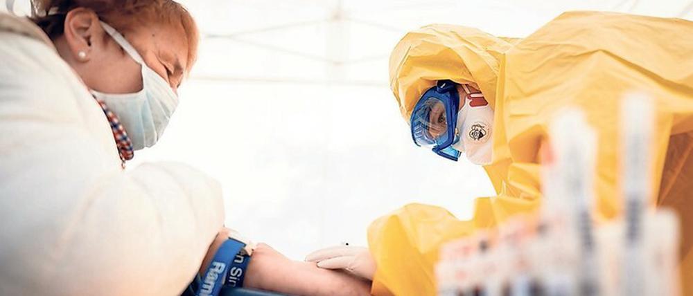 Blutentnahme für einen Test auf Antikörper gegen das Sars-CoV-2-Virus in einer Berliner Praxis.