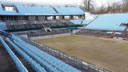 Nächstes Jahr soll es dann noch viel grüner werden im Steffi-Graf-Stadion.