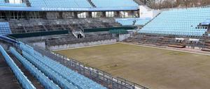 Nächstes Jahr soll es dann noch viel grüner werden im Steffi-Graf-Stadion.