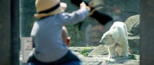 Die Berliner Zoos haben unter strengen Auflagen wieder geöffnet.
