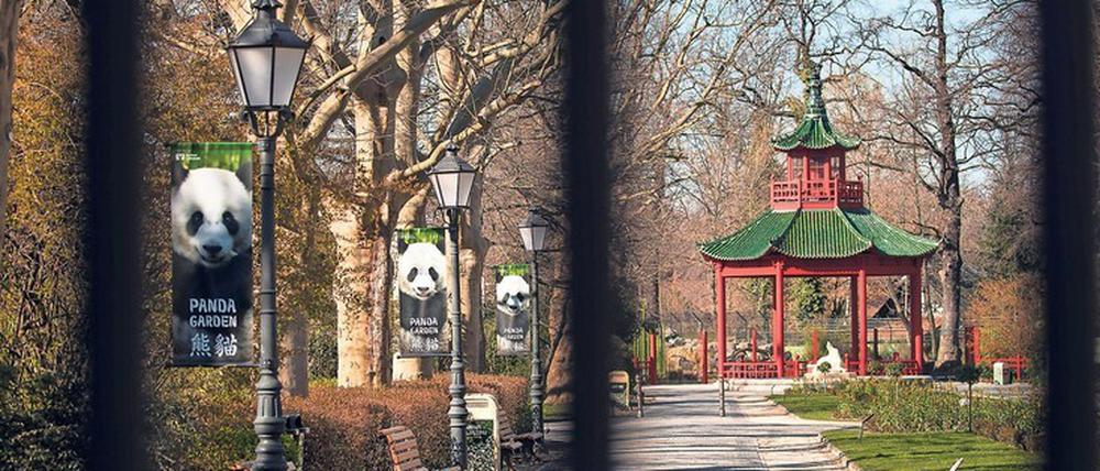 Nach sechswöchiger Schließzeit dürfen die Berlinerinnen und Berliner wieder den Zoo und Tierpark besuchen. 