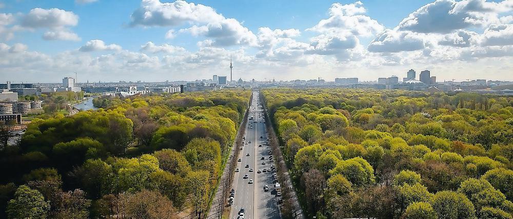 Berlin hat viele Parks, Grünflächen, Wälder. Der Grund ist ein altes Gesetz.