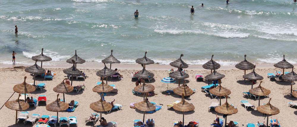Urlaub auf Mallorca? Man sollte die Hoffnung noch nicht aufgeben, sagt der Tourismusbeauftragte. 