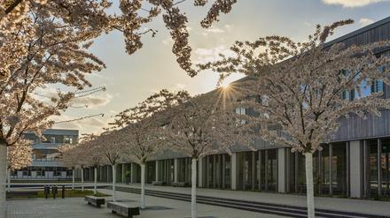 Keine Studierenden nirgends. Der Platz vor der Holzlaube, in der die sogenannten Kleinen Fächer an der Freien Universität untergebracht sind.