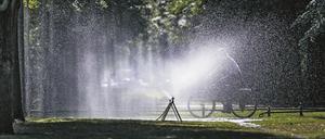 Infolge des Klimawandels bringt der Frühling nicht mehr so viel Regen wie in früheren Jahren. Die Bäume verlieren an Kraft.