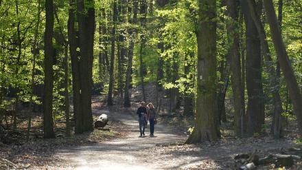 Flanierfreundschaft. Der Städter kann selbst in der urbanen Wildnis leicht in Alarmzustände geraten.