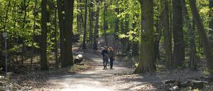 Flanierfreundschaft. Der Städter kann selbst in der urbanen Wildnis leicht in Alarmzustände geraten.