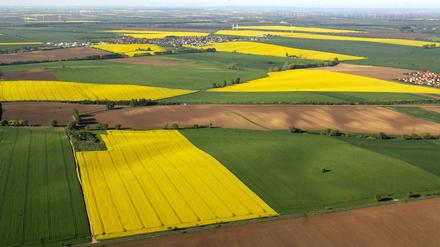 Raps, grüne Getreideflächen und braunes Ackerland wirken von oben wie ein Flickenteppich.