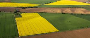 Raps, grüne Getreideflächen und braunes Ackerland wirken von oben wie ein Flickenteppich.