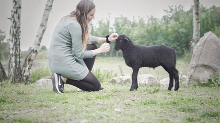 Auf die Chefin hören sie alle: Lucia Kühn mit einem Lamm.
