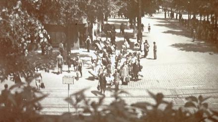 Blick vom Balkon. Ein unbekannter Fotograf machte 1943 dieses Bild von einer Deportation in Amsterdam.