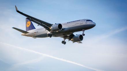 Ein Flugzeug über Frankfurt.