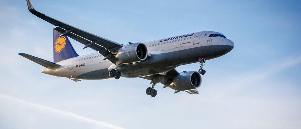 Ein Flugzeug über Frankfurt.