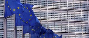 Der EU-Kommission gefällt das Urteil aus Karlsruhe nicht.