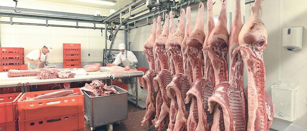 Mahlzeit. 35 Kilo Schweinefleisch verzehrt der Durchschnittsdeutsche im Jahr. Im Moment ist Fleisch billig, doch das wird sich ändern, wenn das Virus Schlachthöfe stilllegt. 