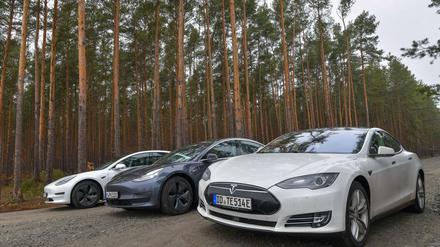 Elektrofahrzeuge der Marke Tesla stehen auf einer Straße am Rand eines Waldes, wo der Bau einer Tesla-Fabrik geplant ist.
