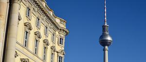 Das im Bau befindliche Japanische Teehaus für das Humboldt Forum im Berliner Schloss, aufgenommen am 14. November 2019 für eine Langzeitdokumentation der Baustelle.