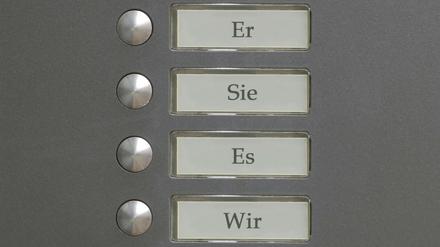 Pronomen wurden erfunden, um die Kommunikation zu vereinfachen. Trotzdem machen sie oft Probleme.