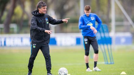 Herthas neuer Trainer Bruno Labbadia hat noch viel zu tun. 