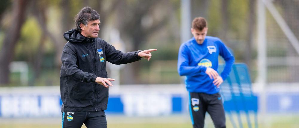 Herthas neuer Trainer Bruno Labbadia hat noch viel zu tun. 