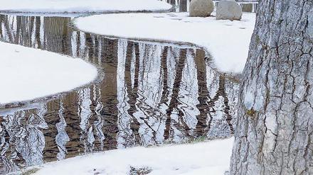 Supernatürlich. Junya Ishigamis „Watergarden“.